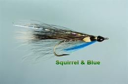 Squirrel and Blue JC